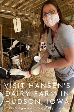 Hansen's Dairy Farm in Iowa has an on-farm creamery providing milk and other dairy products to Waterloo and surrounding areas. Plus, they have kangaroos!  #DairyFarm #Iowa #IowaFarm #Kangaroos #IowaMilk #IowaCreamery 