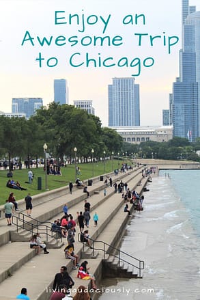 A visit to Chicago, Illinois can include things to do like seeing the skyline, shopping, river tours, eating, or going to a game! Make sure to check out these 15 things the next time you visit Chicago!  #chicago  #wrigley #illinois #lincolnpark #navypier 