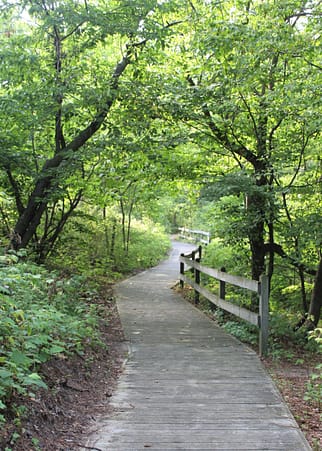 The boardwalk at Pioneer Park leads you from the campsites to the beach access.