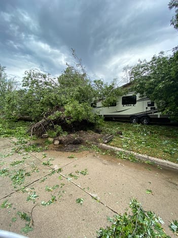 A tree on top of an RV. 