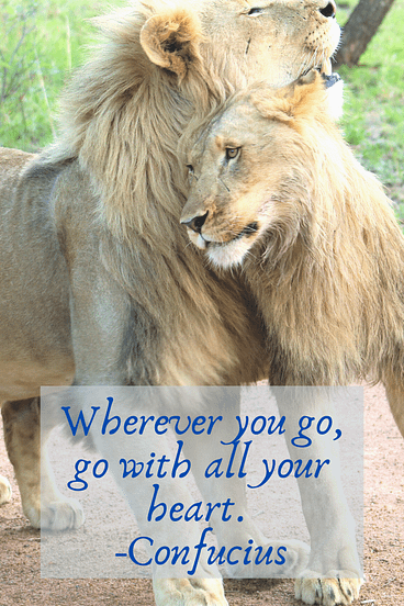"Wherever you go, go with all your heart." Confucius