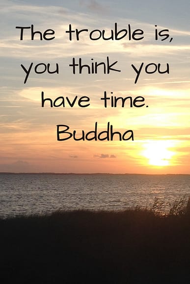 "The trouble is, you think you have time." Buddha