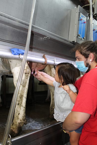 My niece was a champ at milking the cow! 
