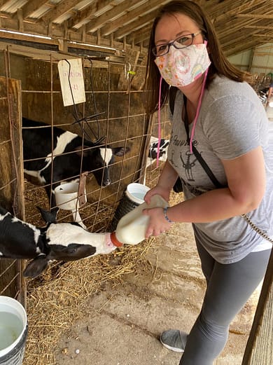 Feeding a baby cow at Hansen's Dairy Farm. 