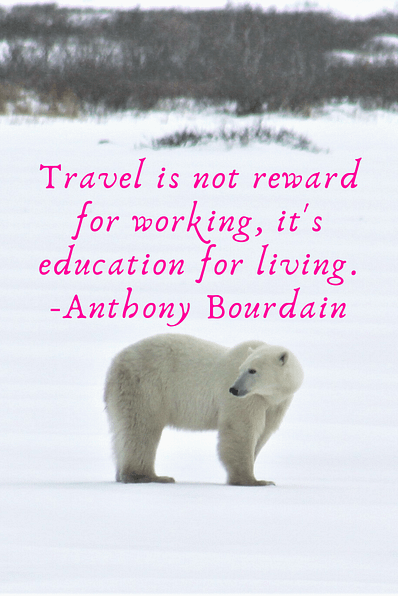 "Travel is not reward for working, it's education for living." Anthony Bourdain
