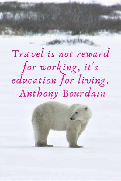 "Travel is not reward for working, it's education for living." Anthony Bourdain