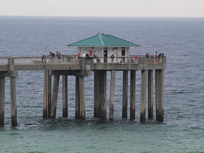 Fishing off the pier. 