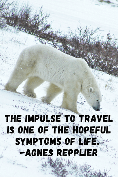 "The impulse to travel is one of the hopeful symptoms of life."  Agnes Repplier 