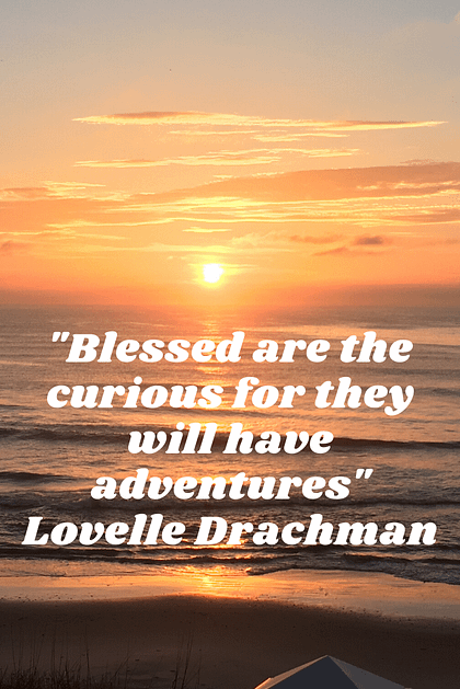 "Blessed are the curious for they will have adventures."  Lovelle Drachman 