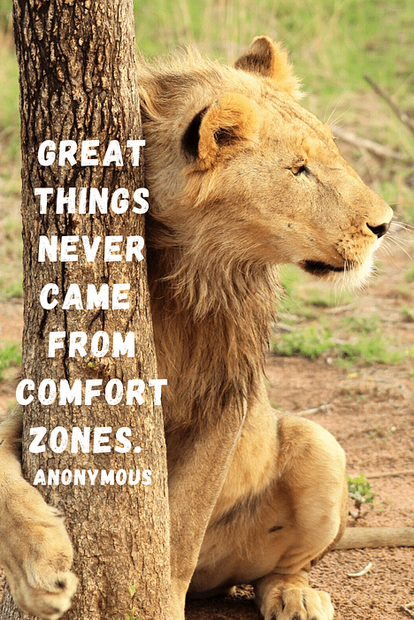 "Great things never came from comfort zones."  These 50 inspirational travel quotes will help fuel your wanderlust and re-ignite that passion for exploring the amazing world we live in!