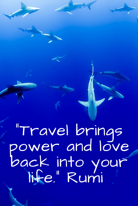 "Travel brings power and love back into your life." Rumi 