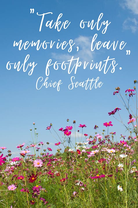 "Take only memories, leave only footprints."  Chief Seattle 