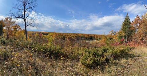 Fall foliage in Door County 