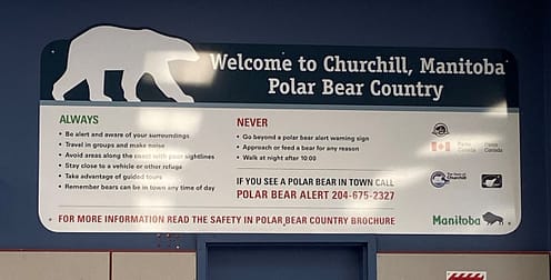 Some key things to know when visiting Churchill. 