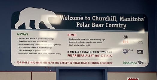 Polar Bear Country